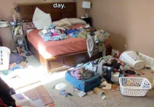 Về nhà sau 6 ngày đi công tác, cảnh trước mắt khiến người vợ quyết ly hôn