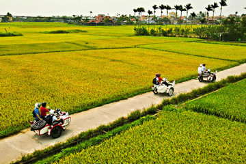 Đi Hội An chơi lễ 30/4, thử loạt trải nghiệm độc lạ, mới mẻ 'ai cũng mê'