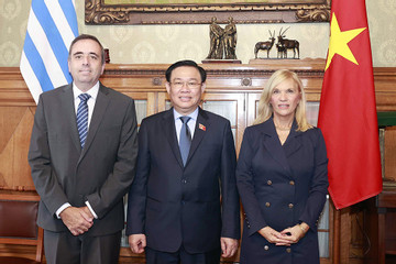 Chính giới Uruguay bất kể đảng phái đều quan tâm phát triển quan hệ với Việt Nam