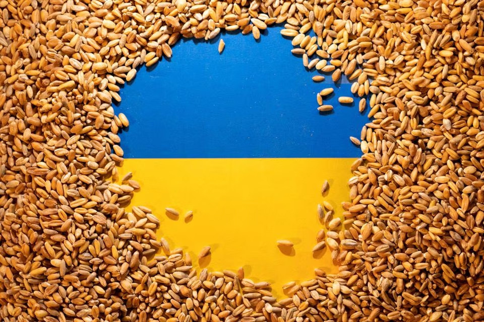 5 nước EU nhất trí khôi phục vận chuyển ngũ cốc của Ukraine
