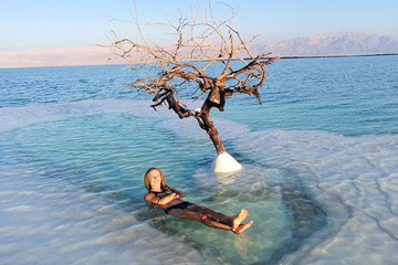 'Cây sự sống' duy nhất tồn tại trên đảo muối giữa Biển Chết
