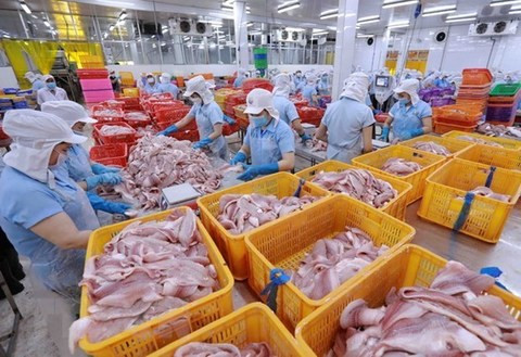 Vietnam's agriculture sector sees lower trade value in Q1/2023