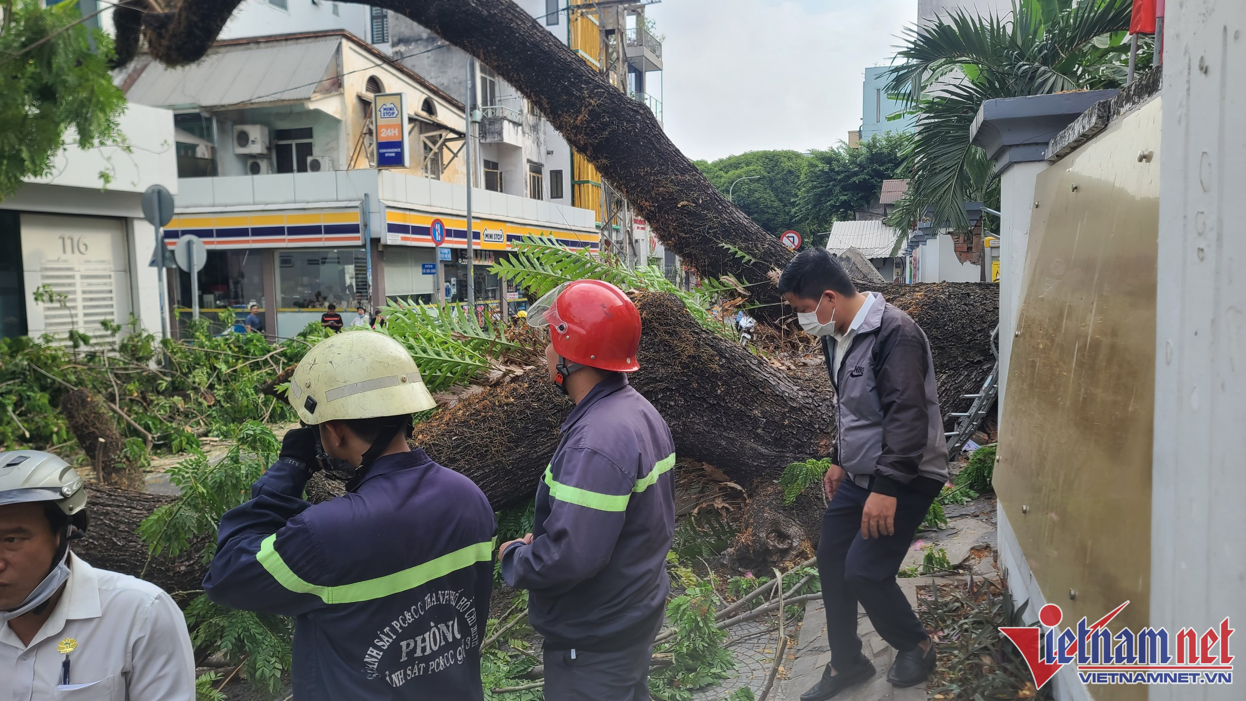 Cây xanh bật gốc đè nhiều người trước cổng trường ở TP.HCM