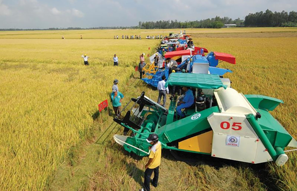 Thúc đẩy đại điền, nông nghiệp sẽ vượt qua 'lời nguyền manh mún'