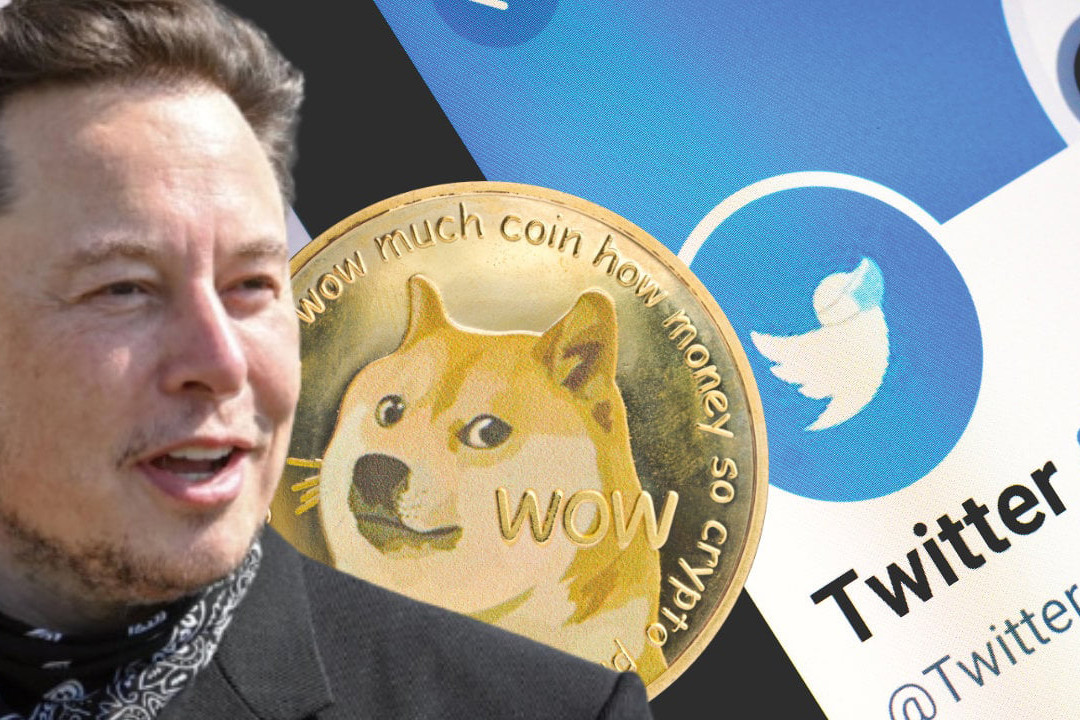 Dogecoin tăng sốc khi Elon Musk đổi logo Twitter thành chó Shiba