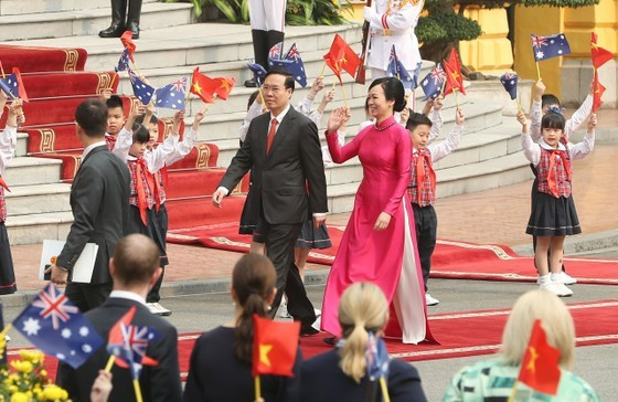 President Vo Van Thuong welcomes Governor-General of Australia David Hurley ảnh 4