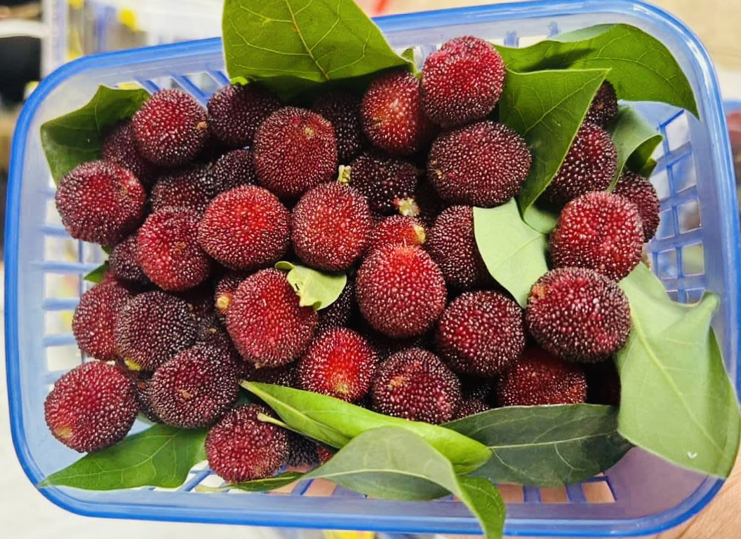 Thanh mai Trung Quốc lại dội chợ, giá 260.000 đồng/kg vẫn ‘cháy hàng’