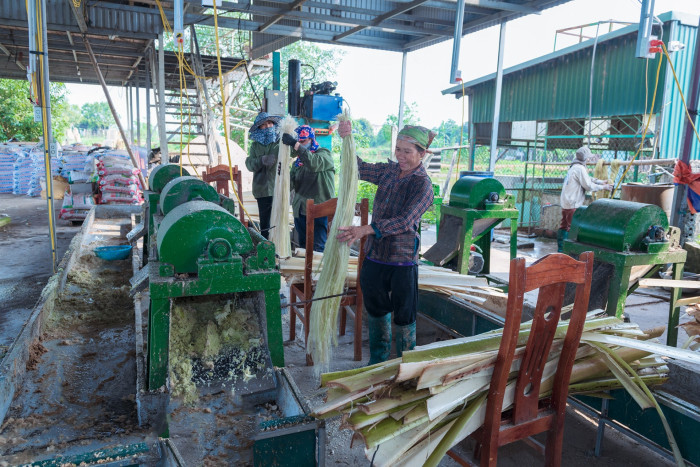 Phát triển kinh tế tập thể, hợp tác xã gắn với phát triển kinh tế xanh