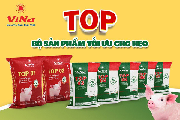 Vinafeed Group ra mắt dòng sản phẩm cao cấp mới cho heo