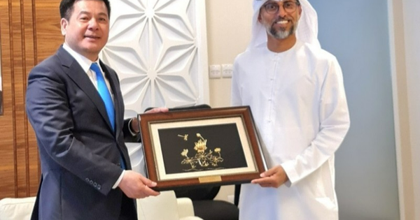 Vietnam, UAE work towards FTA negotiations