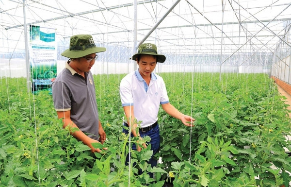 Eco-friendly production in lead for aid