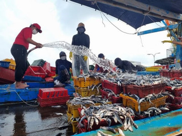 Vietnamese fishermen struggle to set sail amid multiple difficulties