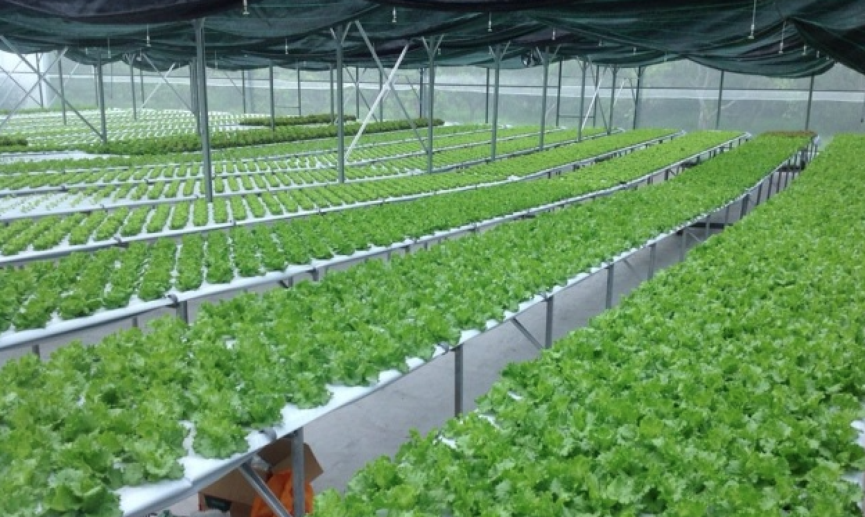 Bình Phước thúc đẩy chuyển đổi số ngành nông nghiệp và phát triển nông thôn