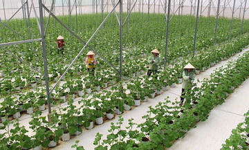 Bình Phước từng bước chuyển đổi số trong sản xuất nông nghiệp