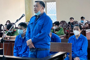 Giám đốc doanh nghiệp bị phạt 11 năm tù vì 'chạy điều chuyển ông Đinh Văn Nơi'