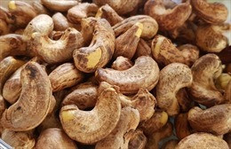 Vietnam spends US$1 billion importing cashew nuts over four months