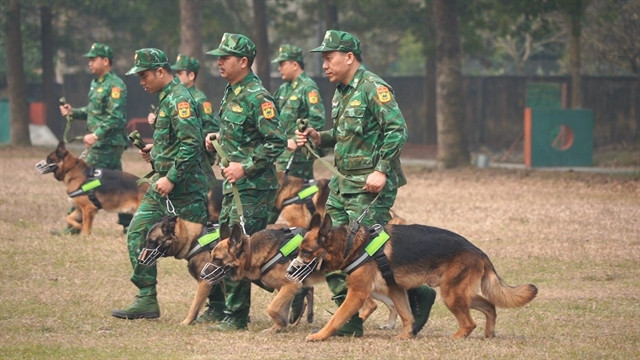 Elite four-legged warriors vital part of military missions