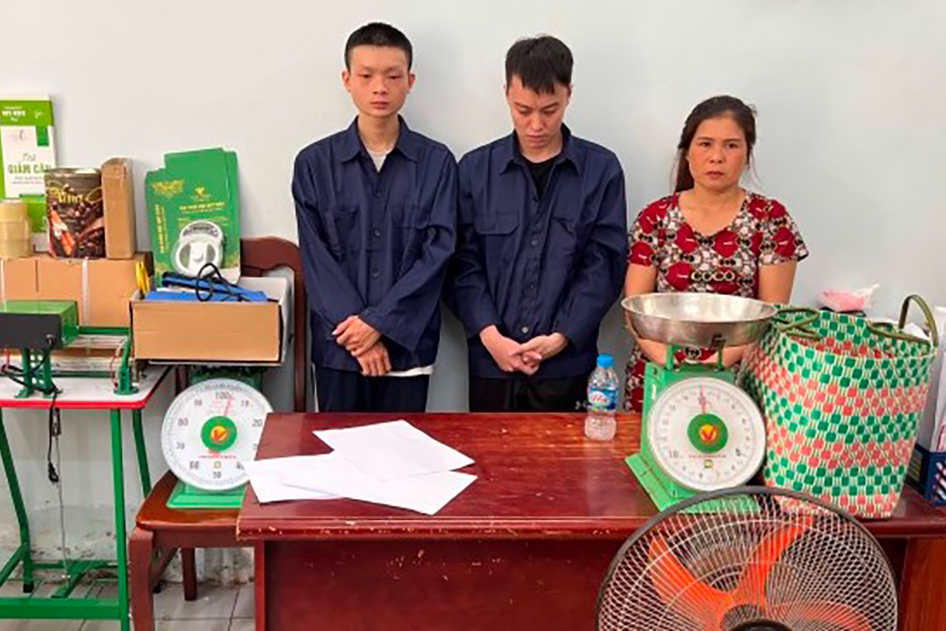 Công an TP.HCM bắt ổ nhóm trồng, bán cần sa khối lượng lớn