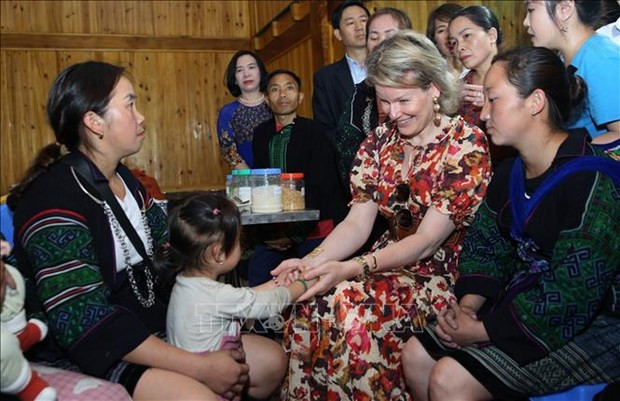 Belgian Queen impressed by Vietnam’s progress in child protection hinh anh 1