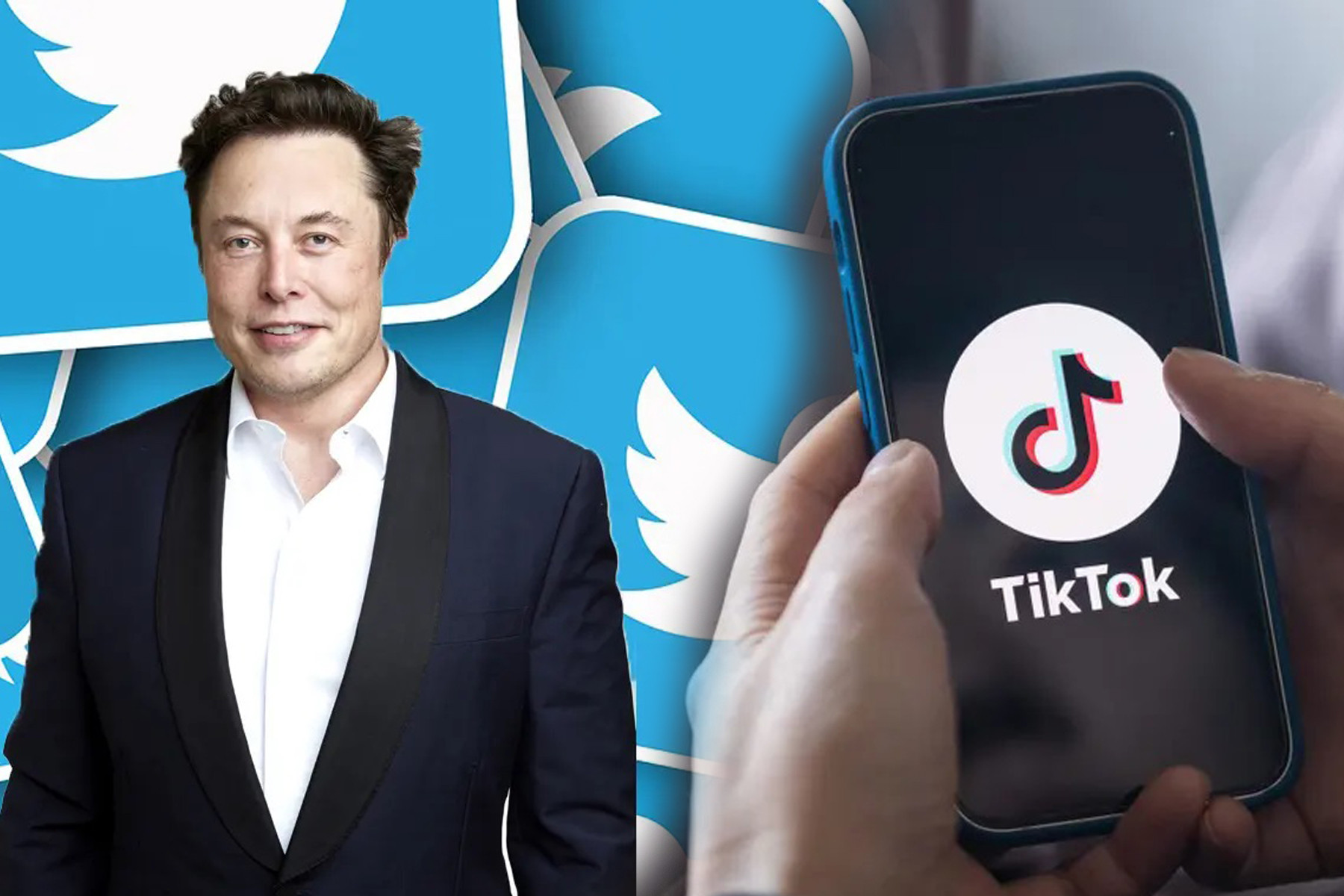 Thêm một quốc gia cấm TikTok, Elon Musk hé lộ CEO mới cho Twitter