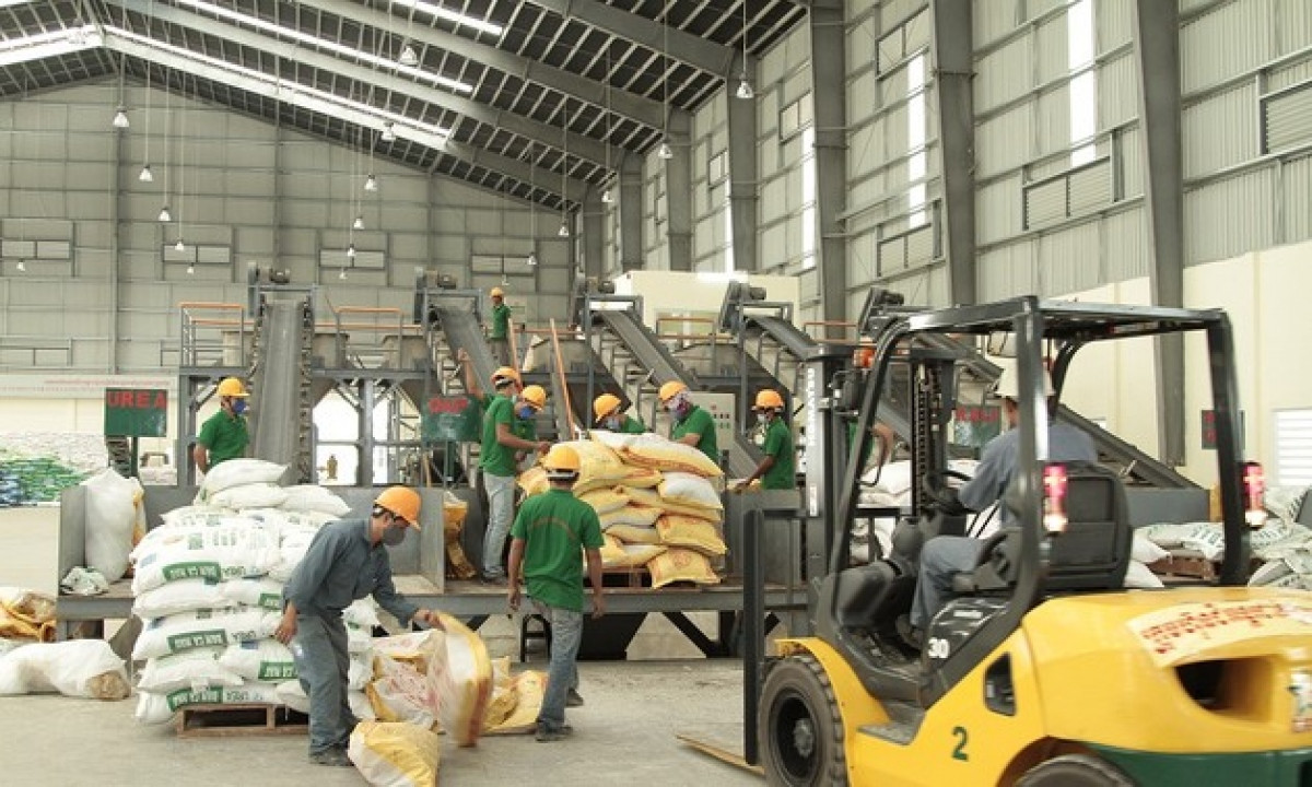 ASEAN consumes half of Vietnamese fertilizer exports