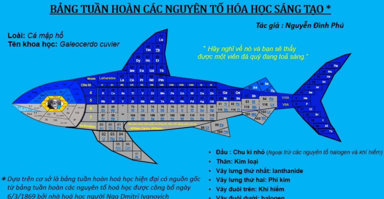 Nam sinh thiết kế lại bảng tuần hoàn hóa học thành hình cá mập