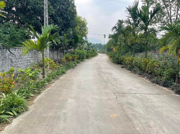 Phú Thọ: Đẩy mạnh đầu tư phát triển kinh tế - xã hội cho vùng đồng bào DTTS