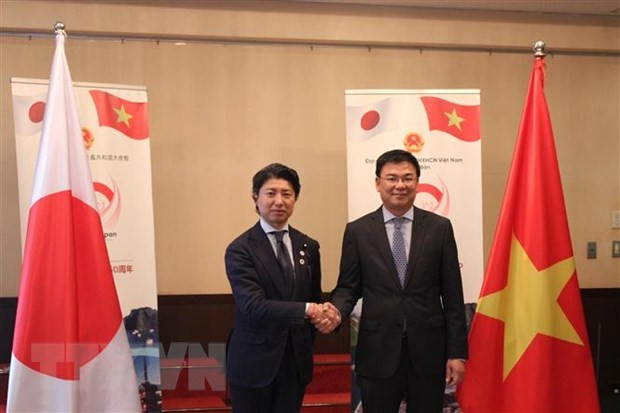 Vietnam Festival in Japan to be held in June hinh anh 1