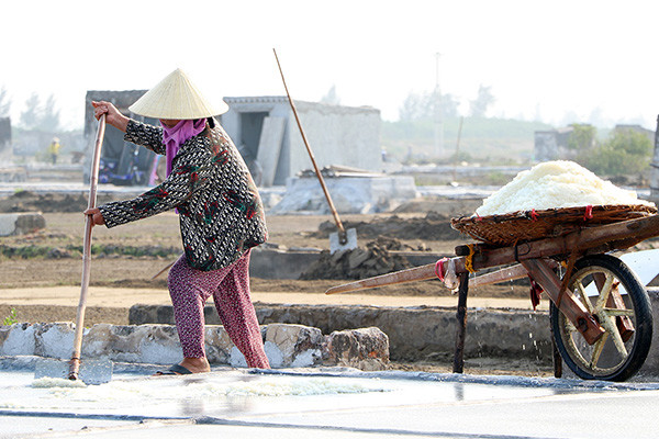 Nghịch cảnh trời nắng thiêu đốt, diêm dân càng đổ ra đồng làm muối