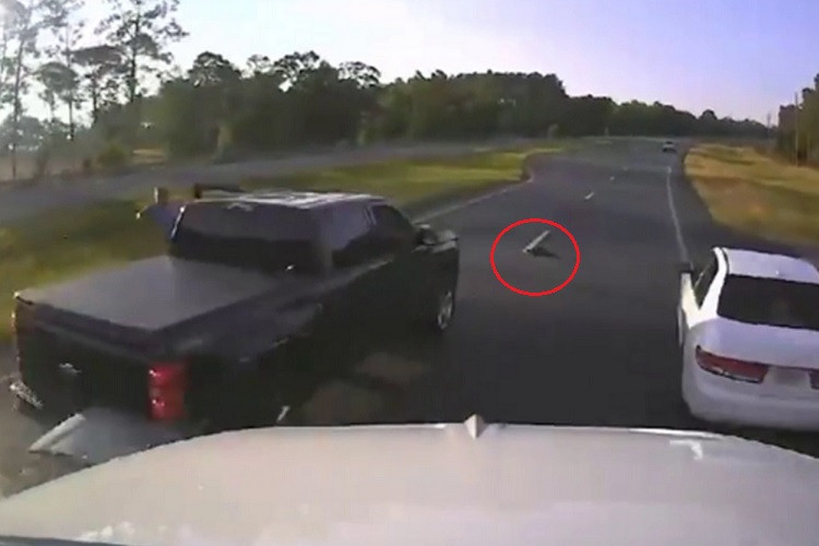 Video tài xế gây tai nạn liên hoàn vì nhường rùa qua đường