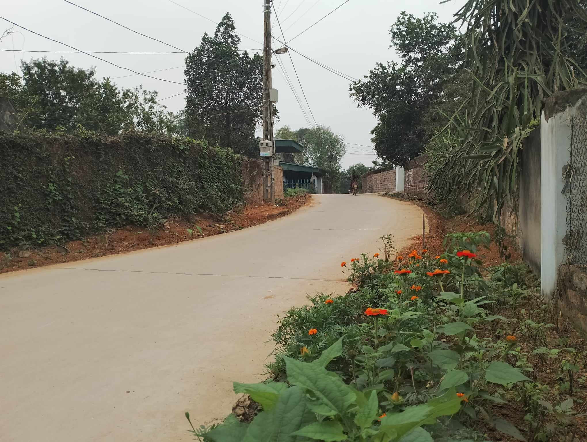 Thí điểm xây dựng xã nông thôn mới thông minh đầu tiên ở Thái Nguyên