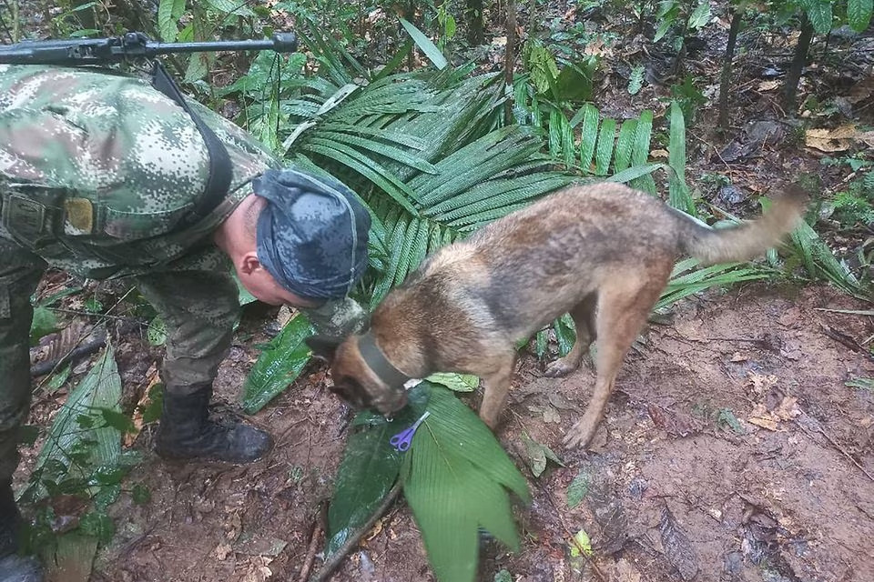 Phát hiện 4 trẻ em sống sót sau 2 tuần rơi máy bay giữa rừng Colombia