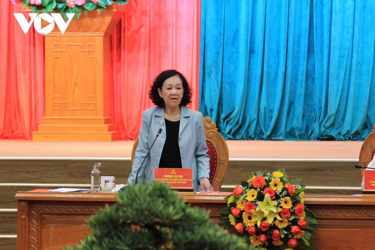 thuong truc ban bi thu truong thi mai lam viec voi tinh uy binh Dinh hinh anh 2