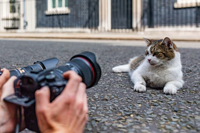 12 năm vương giả của con mèo quyền lực nhất dinh thủ tướng Anh
