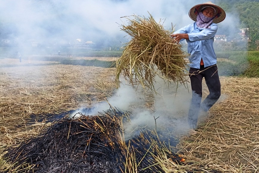 Làm đồng giữa trưa hè rực lửa ở rốn nắng xứ Thanh