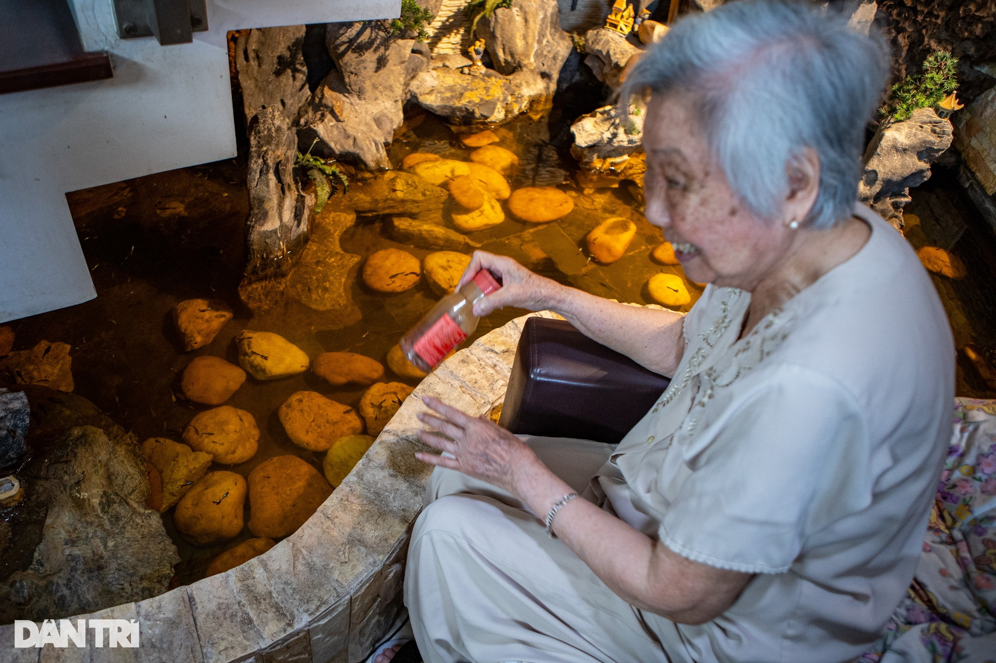 Cụ bà U90 ở Hà Nội nuôi đàn cá bảy màu và hành động khiến ai cũng xúc động - 2