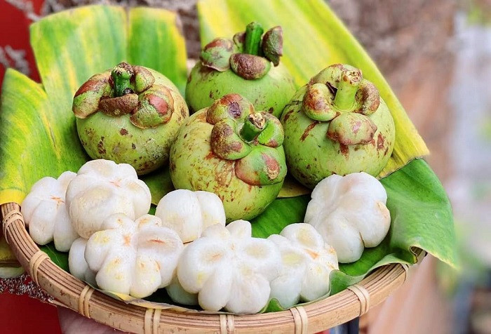 Bản tin trưa 20/5: Măng cụt xanh Việt Nam đi máy bay sang Mỹ, giá gần 3 triệu/kg