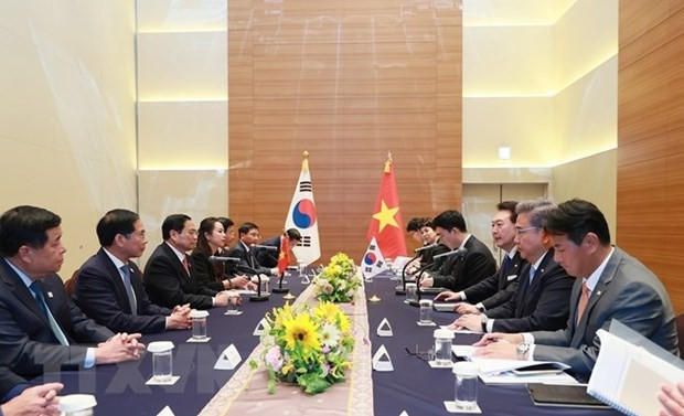 Vietnamese PM meets RoK President hinh anh 2