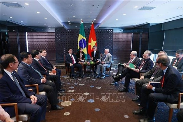 PM Pham Minh Chinh meets with Presidents of Brazil, Ukraine hinh anh 1