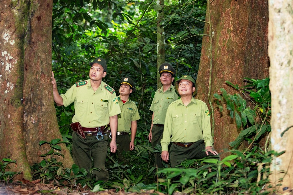 Trạm giữ rừng “3 không” giữa đại ngàn Cúc Phương