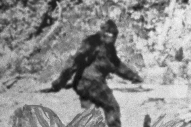 Bí ẩn về ‘quái vật’ Bigfoot ít người biết