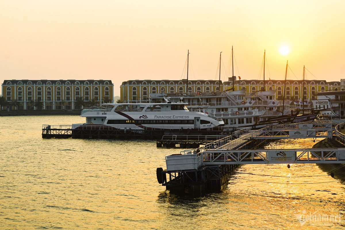 experiencing luxury five-star cruise in ha long bay picture 1