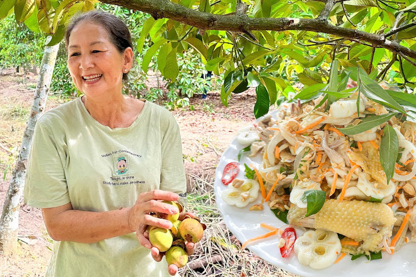 Hái quả mỏi tay, thưởng thức gỏi gà măng cụt rẻ 'khó tin' ở khu vườn trăm tuổi