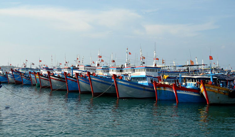 EC reschedules IUU inspection in Viet Nam - Ảnh 1.