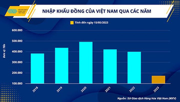 Giá đồng giảm – tạo đà bứt tốc cho năng lượng tái tạo Việt Nam