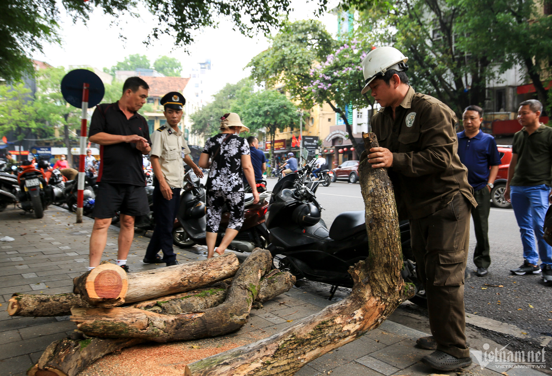 Bắt đầu chặt hạ 3 cây sưa chết khô ven hồ Hoàn Kiếm