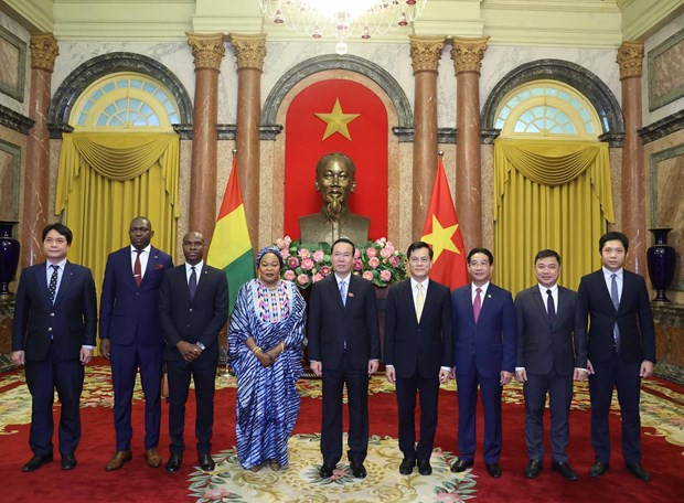 President welcomes foreign ambassadors hinh anh 4