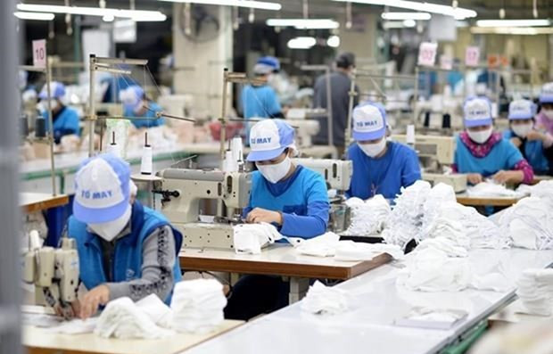 Actions taken to ensure sustainable employment hinh anh 1