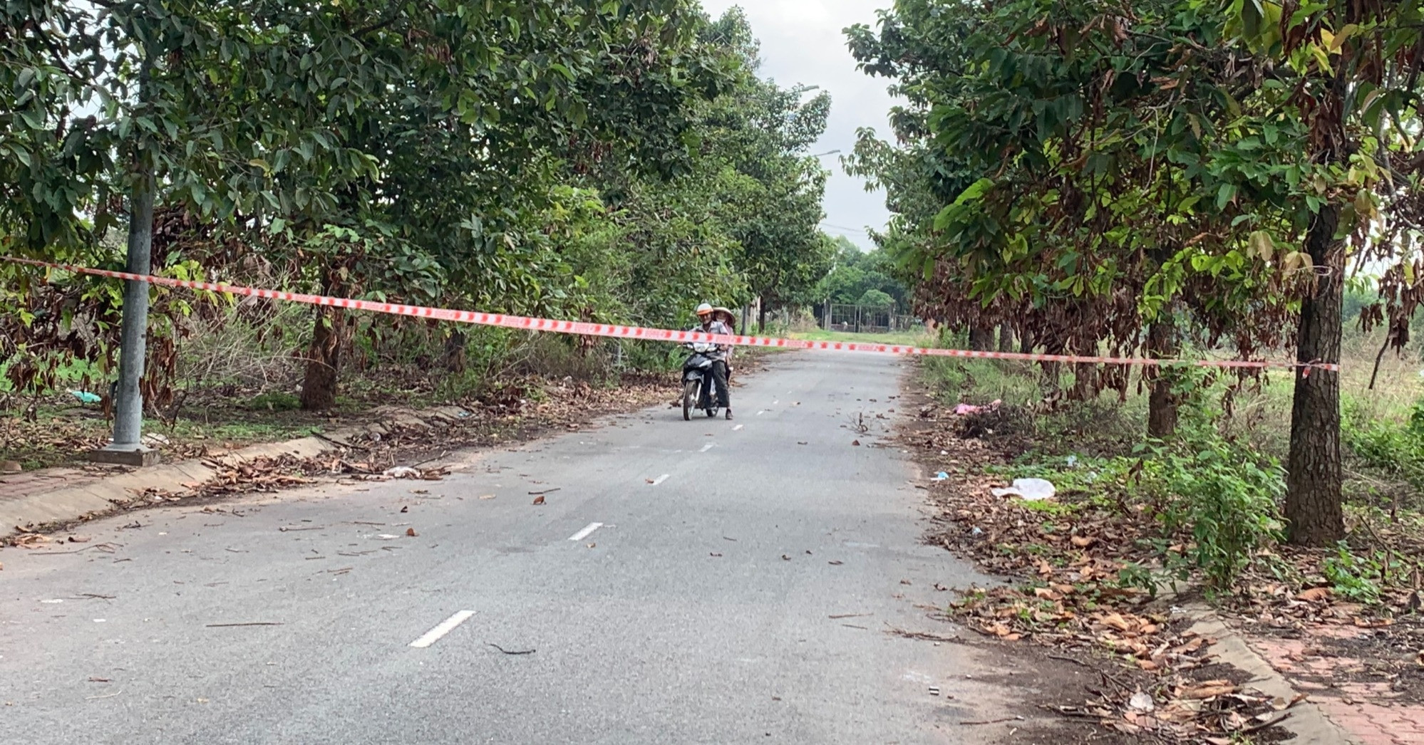 vietnamnet.vn