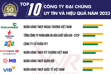 Top 50 Công ty Đại chúng uy tín và hiệu quả năm 2023